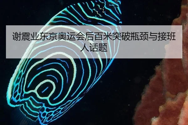 谢震业东京奥运会后百米突破瓶颈与接班人话题
