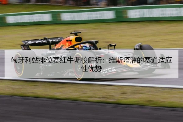 xiong-ya-li-zhan-pai-wei-sai-hong-niu-diao-xiao-jie-xi-wei-si-ta-pan-de-sai-dao-shi-ying-xing-you-shi-3-434.jpg